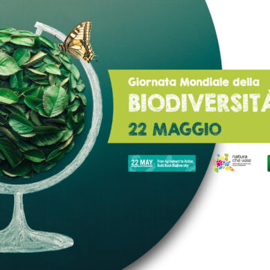 22 maggio: Giornata Mondiale della Biodiversità