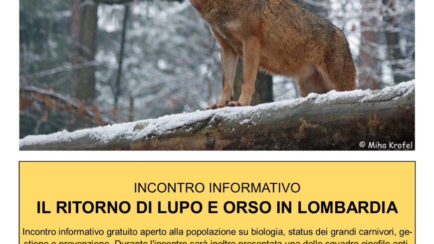 Il ritorno di lupo e orso in Lombardia – Galbiate (LC)