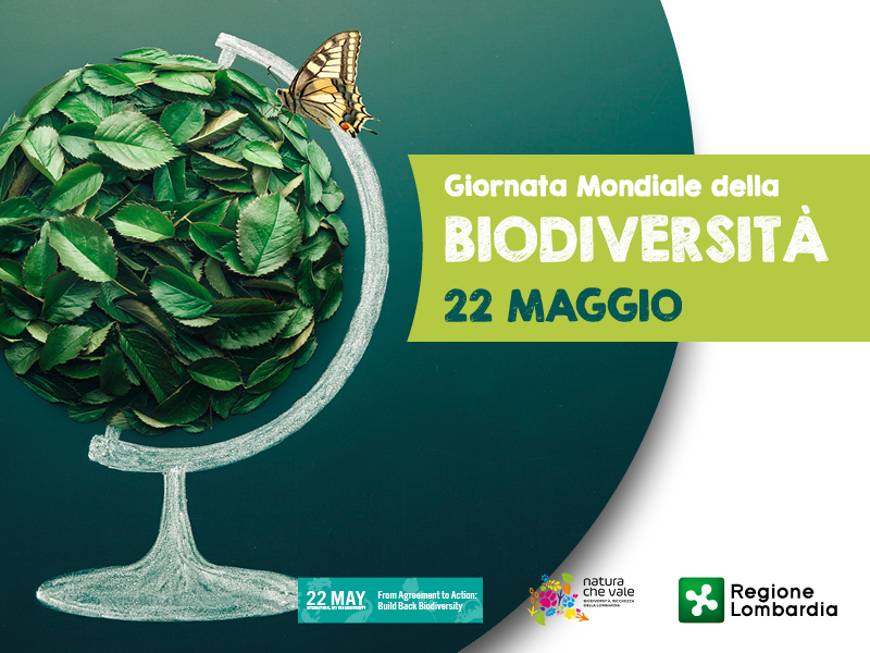 SAVE-THE-DATE_Giornata-mondiale-della-biodiversita_V2.jpg