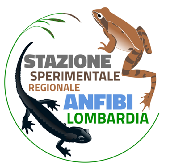 SSR-Anfibi-Lombardia-logo.png