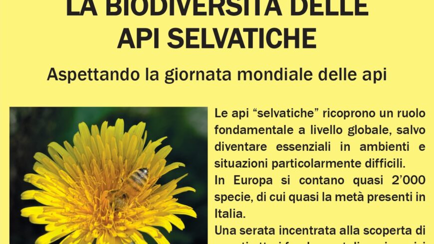 La biodiversità delle api selvatiche – Cesano Maderno (MB)