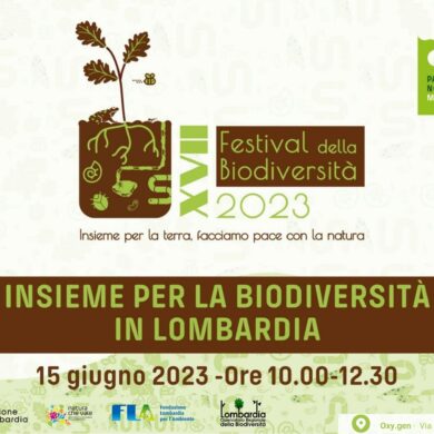 Insieme per la biodiversità in Lombardia: l’esperienza dell’osservatorio regionale – 15 giugno – Festival della Biodiversità (MI)