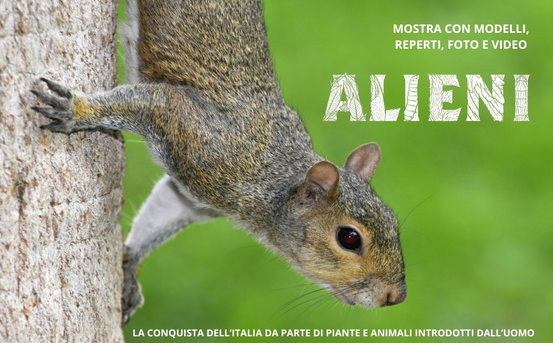 Il 15 settembre apre a Voghera la mostra “ALIENI” sulle specie aliene invasive