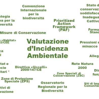 Formazione a distanza on line “Rete Natura 2000 e Valutazione di Incidenza in Regione Lombardia”