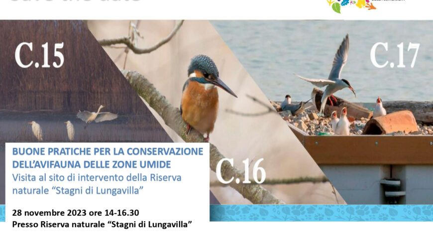 Le buone pratiche per la conservazione dell’avifauna delle zone umide – Lungavilla (PV)
