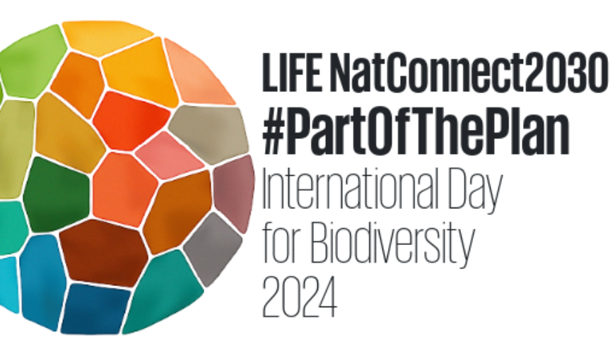 Giornata mondiale della Biodiversità – 22 maggio 2024