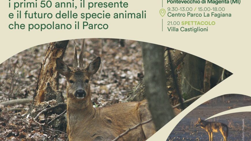 La Fauna del Parco del Ticino – Pontevecchio di Magenta (MI)