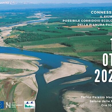 Connessioni. Il Fiume Po possibile corridoio ecologico della Pianura Padana – Incontro formativo 16/10 a Torino