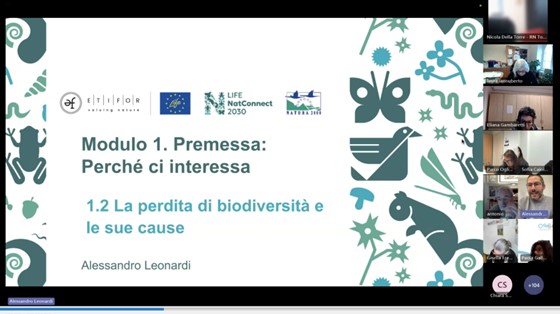 Screenshot del corso online