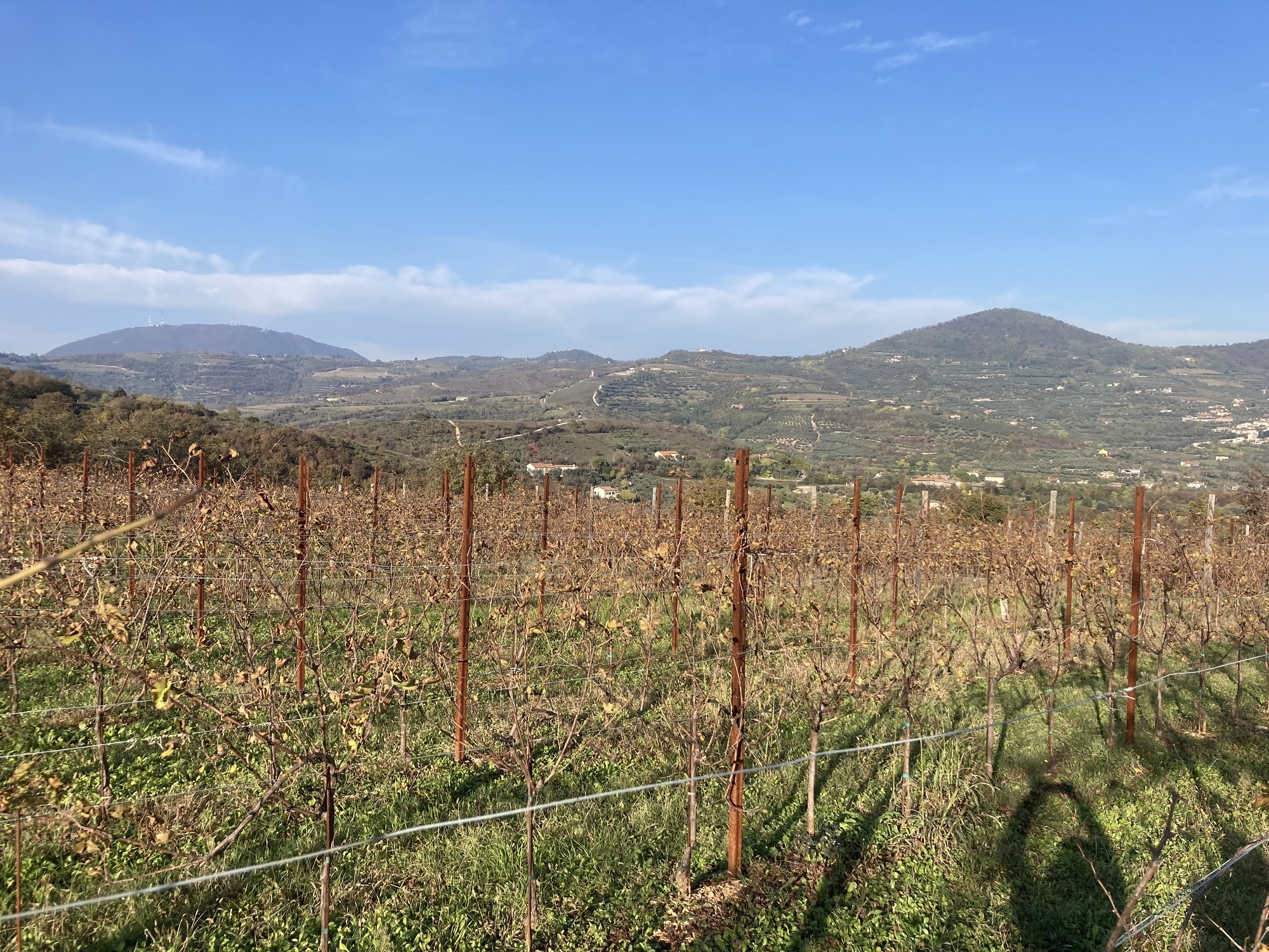 L’immagine mostra un momento della visita sul campo nel Parco Regionale dei Colli Euganei