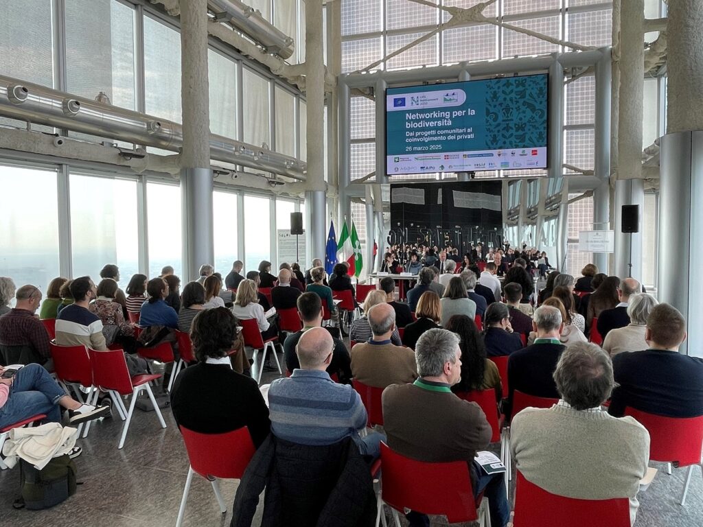 L'immagine mostra una panoramica della sala dove si è tenuto l'incontro del 26 marzo 2025