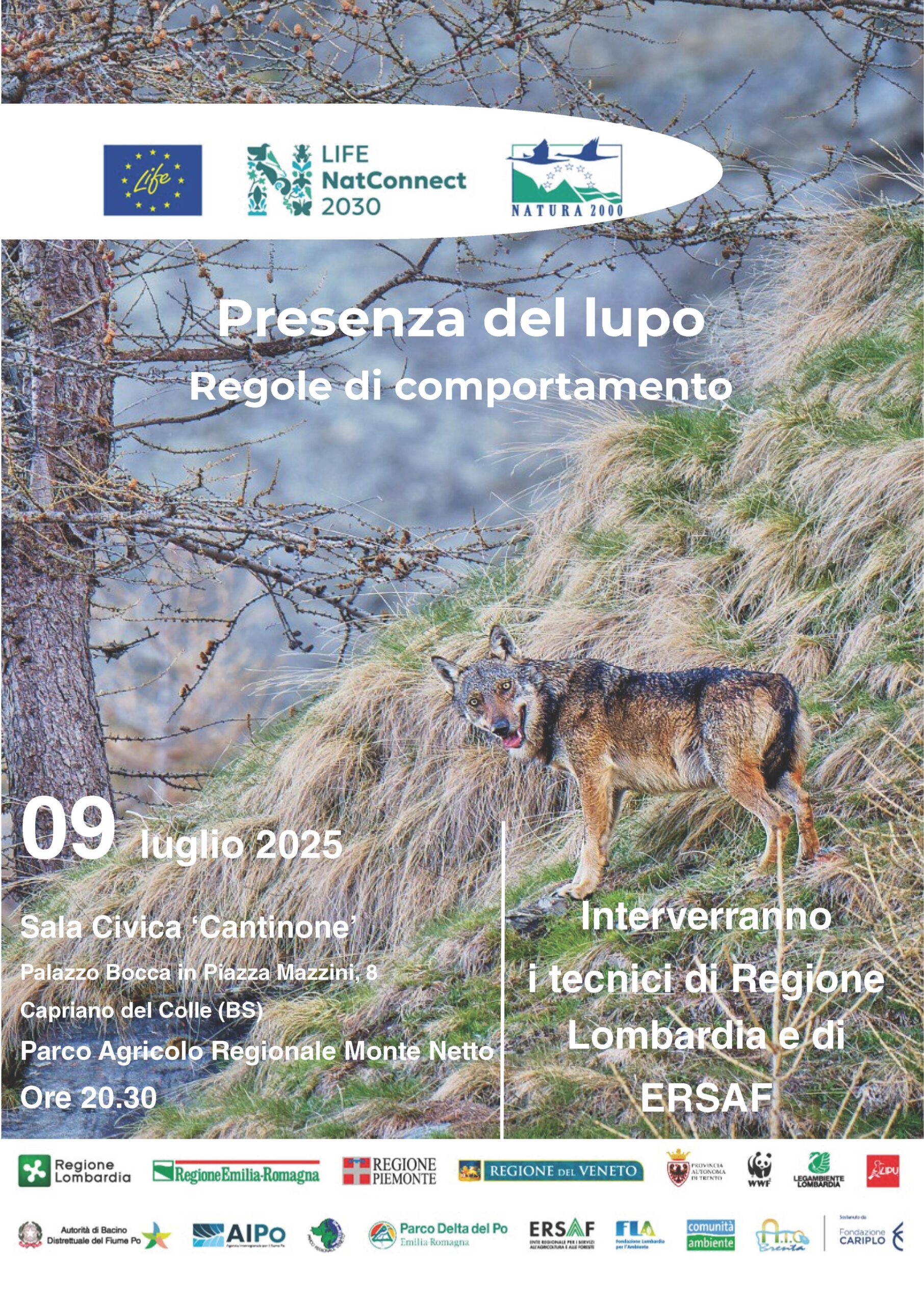 L'immagine è la locandina dell'evento