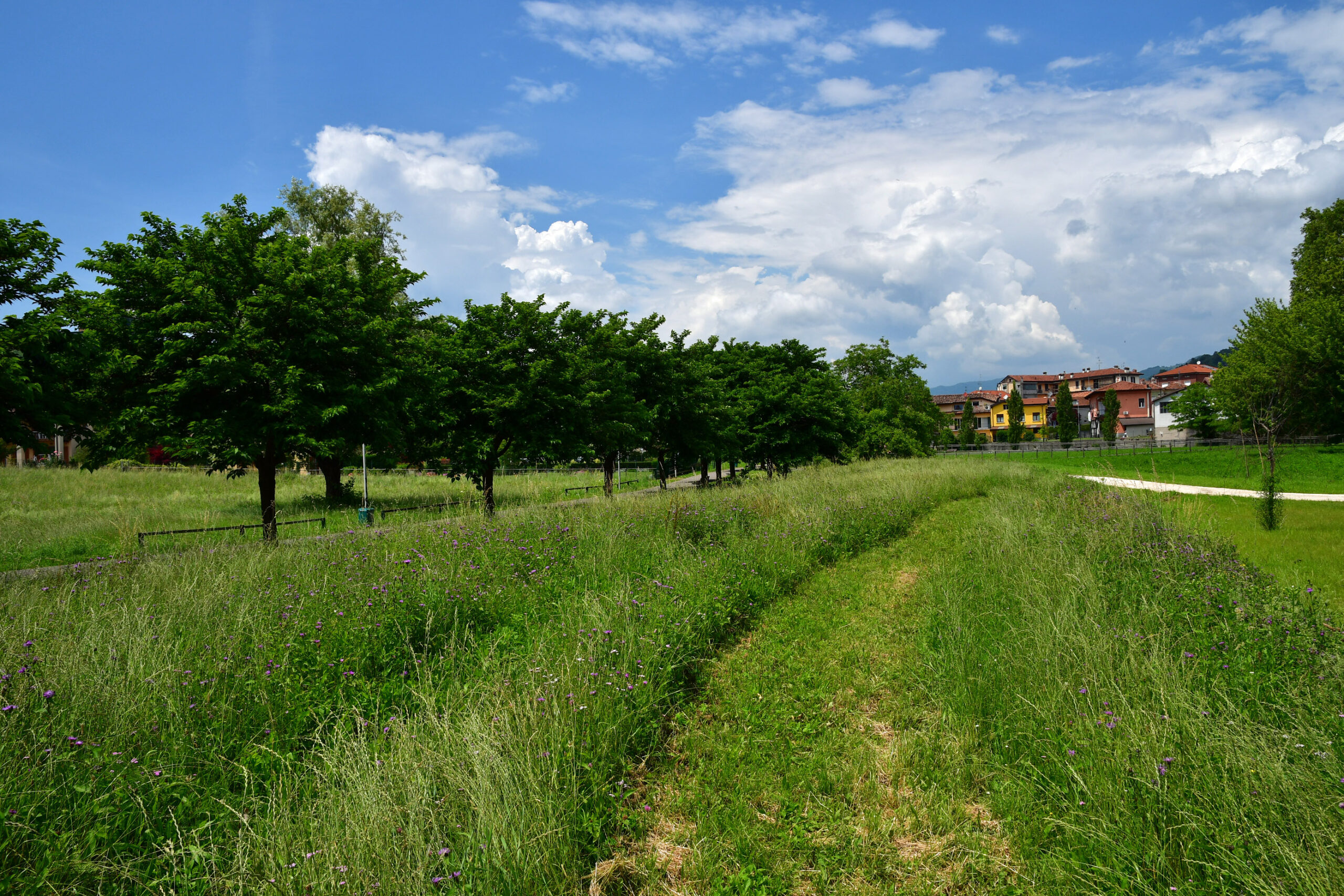 Indagine sulla biodiversità rivolta ai Comuni: partecipa anche tu