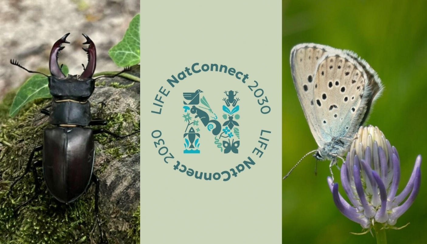 Comunicare la biodiversità con i nuovi media – Corso formazione online gratuito – 8 e 9 settembre 2025