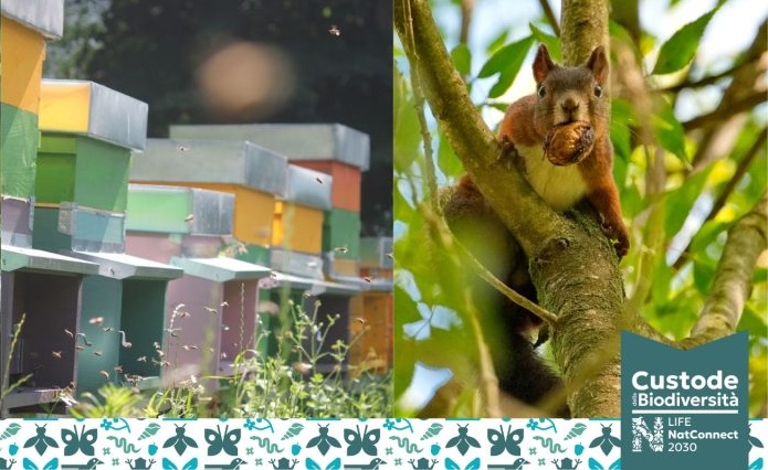 Concorso fotografico “Il mio giardino biodiverso” – marzo-aprile 2026