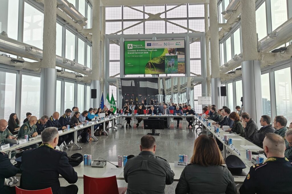 In Lombardia nasce il Comitato di Indirizzo Regionale Grandi Carnivori