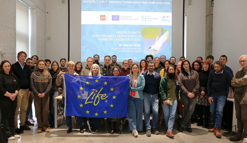 Il LIFE NatConnect2030 per le specie di greto!