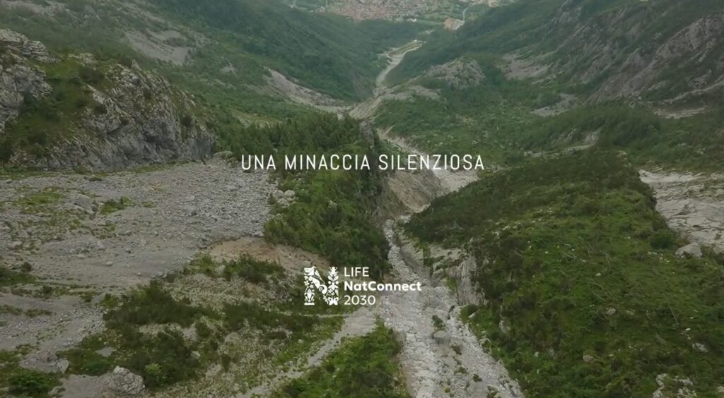 Una minaccia silenziosa: la Panace di Mantegazza – il video