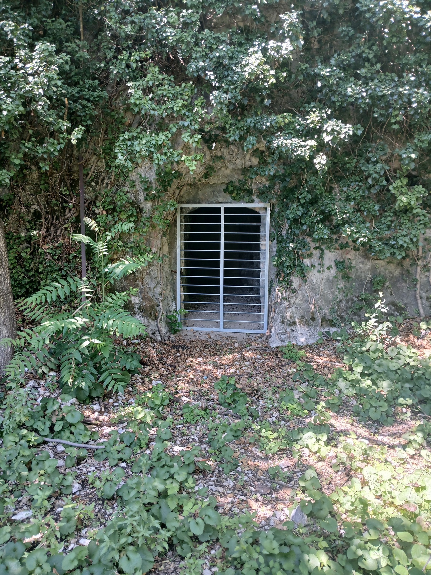 ingresso dell grotta dopo l'intervento