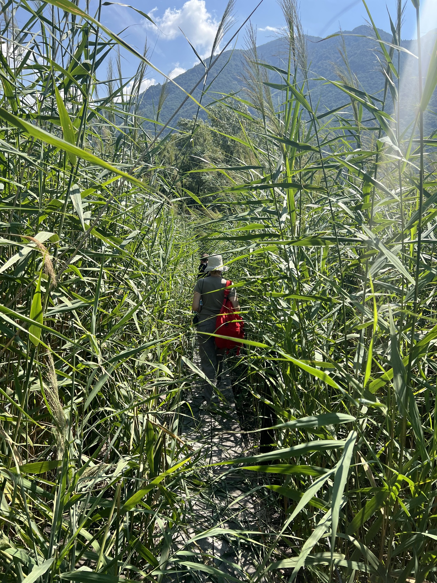 l'ambiente del Piano di Spagna