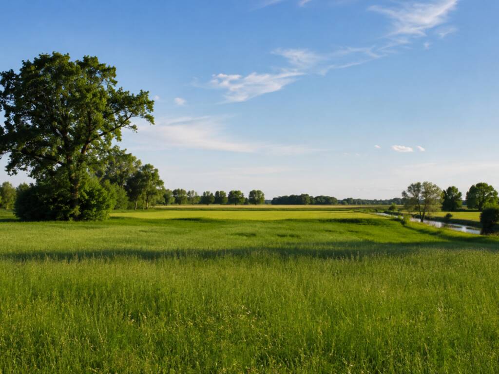Corso formazione “Il ruolo degli ambienti rurali per la tutela della biodiversità” – 3 incontri online al mese tra ottobre 2026 e febbraio 2027