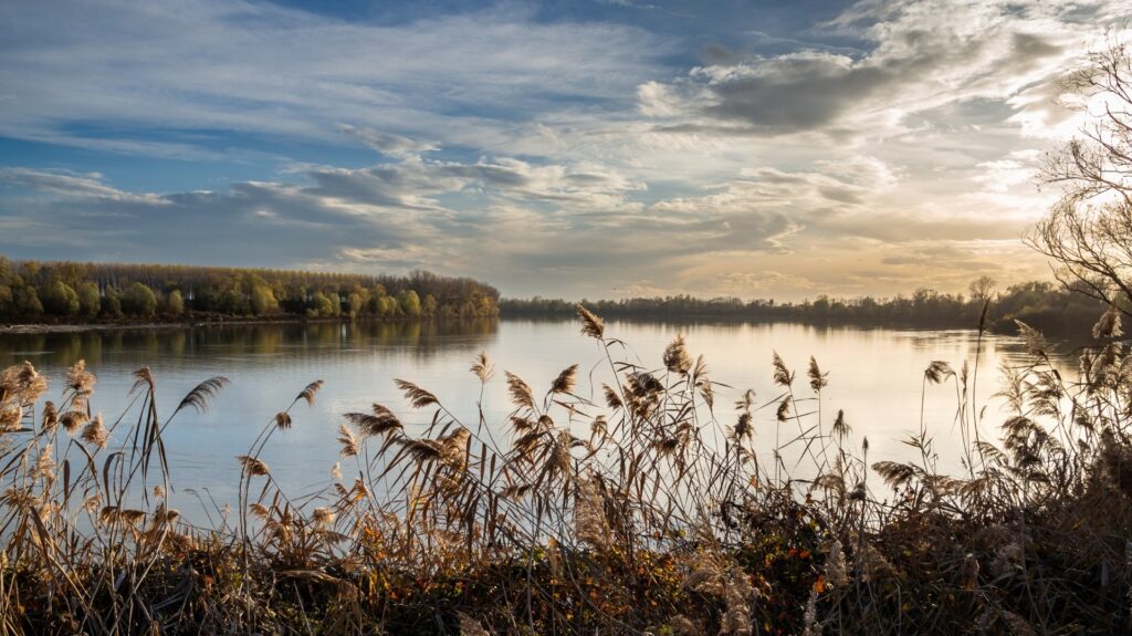 Corso formazione “Tra acqua e terra: turismo sostenibile nelle aree protette & Natura 2000” – 28-30 ottobre 2026 – Monticelli d’Ongina (PC)